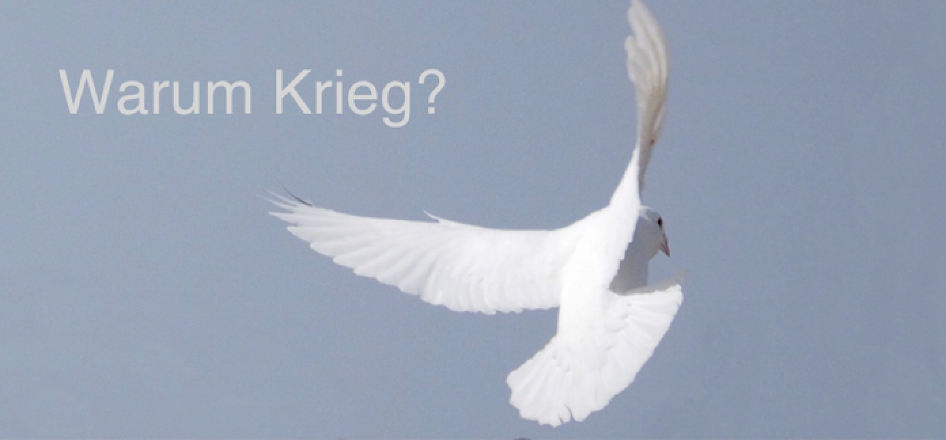 Warum Krieg?